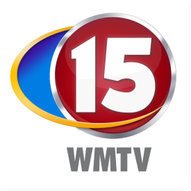 WMTV 15 Gray Text Logo