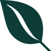 Leaf icon
